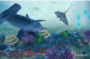 沙巴官网入口网站2024最新版